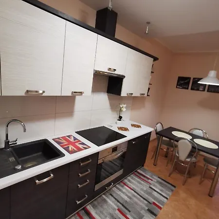 Apartment Witosa *